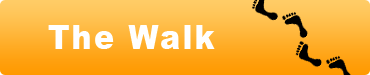 The Walk